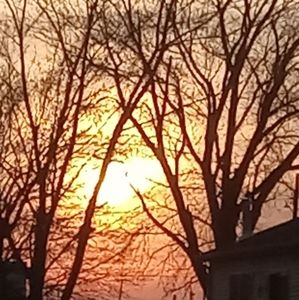 Meet your Posher, Ella